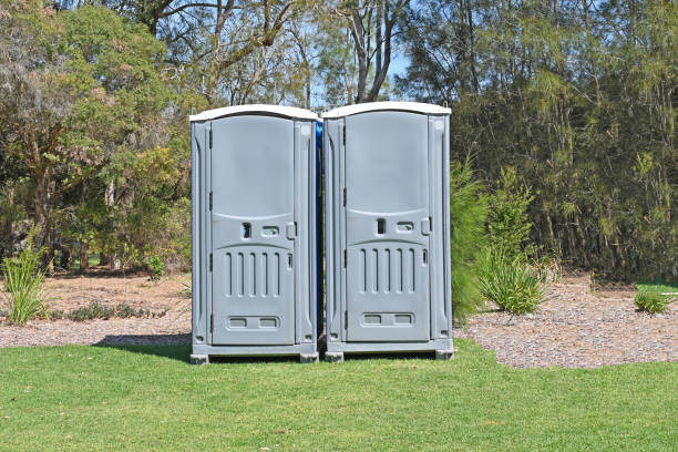 Best Pest Control for Lawns  in Kilauea, HI